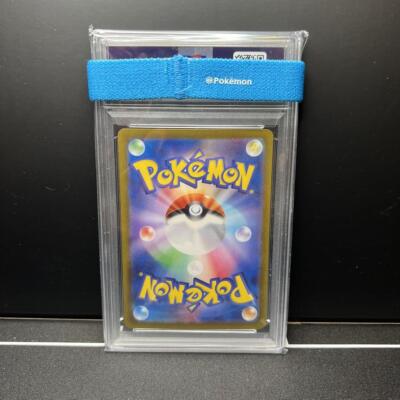 PSA 10 Terapagos ex SAR 130/102 sv7 Stellar Miracle Pokemon Card
