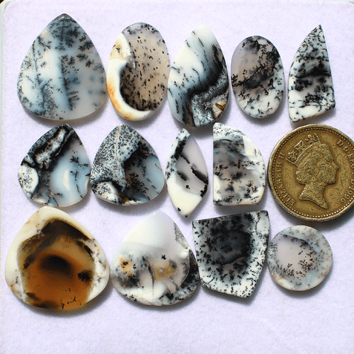 13 Pcs Australian Natural Dendrite Opal 15mm-25mm Slice Cabochon Loose Gemstones - Picture 3 of 11