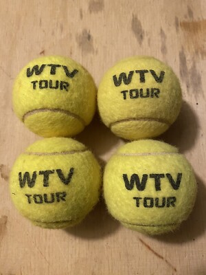 4 Tennisbälle für Anfänger Hund Faszien Waschen Jonglieren Filzen Foto Wilson