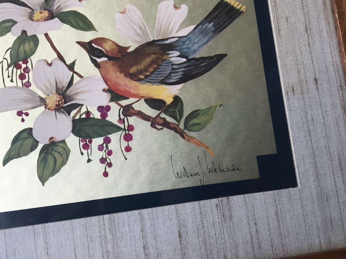 Wildlife Bird Print by William J. Whiteside Signed and Framed | eBay
