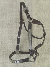 CIRCLE Y LEATHER WESTERN SHOW HALTER with SILVER@@
