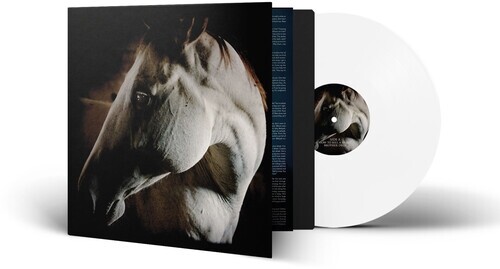 BROTHER DEGE - HOW TO KILL A HORSE (WHITE) NEW VINYL