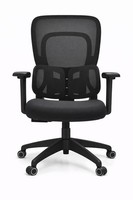 Ergonomischer BüRostuhl Mit Verstellbaren Armlehnen Und NetzrüCken