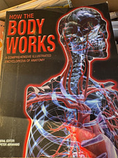 How the Body Works by Peter Abrahams Illustra...