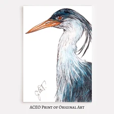 ACEO Print of Original Art Bird, Blue Heron, Collectible Card, Miniature Art
