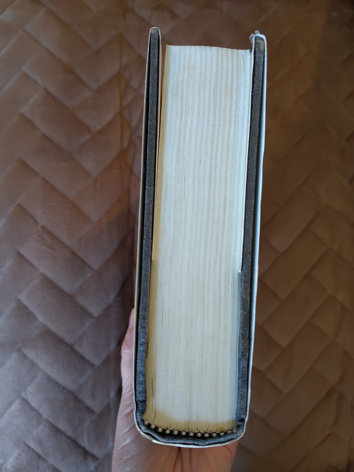 Picture 5 of 14