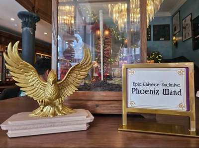 #ad #ad Phoenix Wand and Phoenix Wand Display $200.00