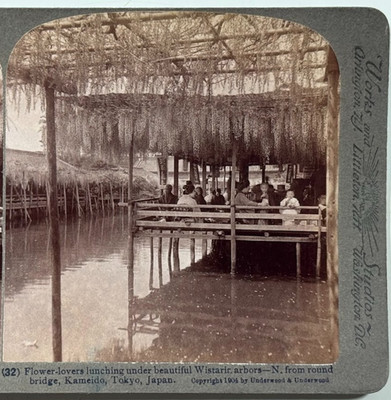 Flower-Lovers Lunching Under Beautiful Wistaria Arbor Vintage Stereoview Card