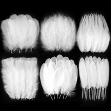 White Craft Feathers Bulk - 240pcs 6 Style Mixed Natural Feathers for Wedding...