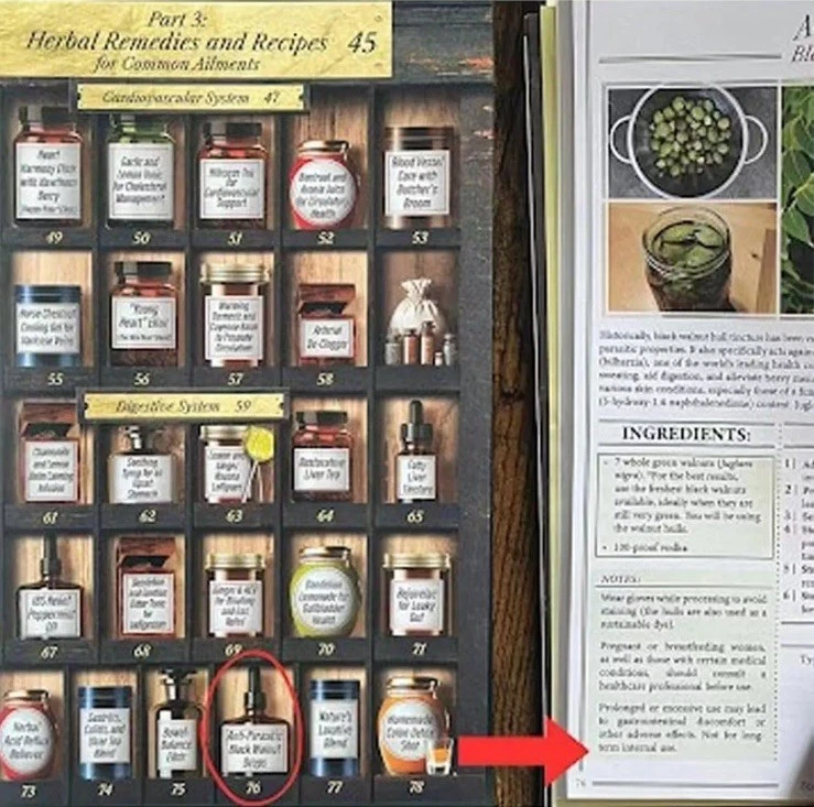 Forgotten Hom- Apσthecary:250-Powerful Remedies By  Nicole Apelian=PhD -A4 Size - Image 4 of 4