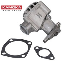 Kamoka T0005 Wasserpumpe Wapu FüR Alfa Romeo FüR Fiat FüR Lancia