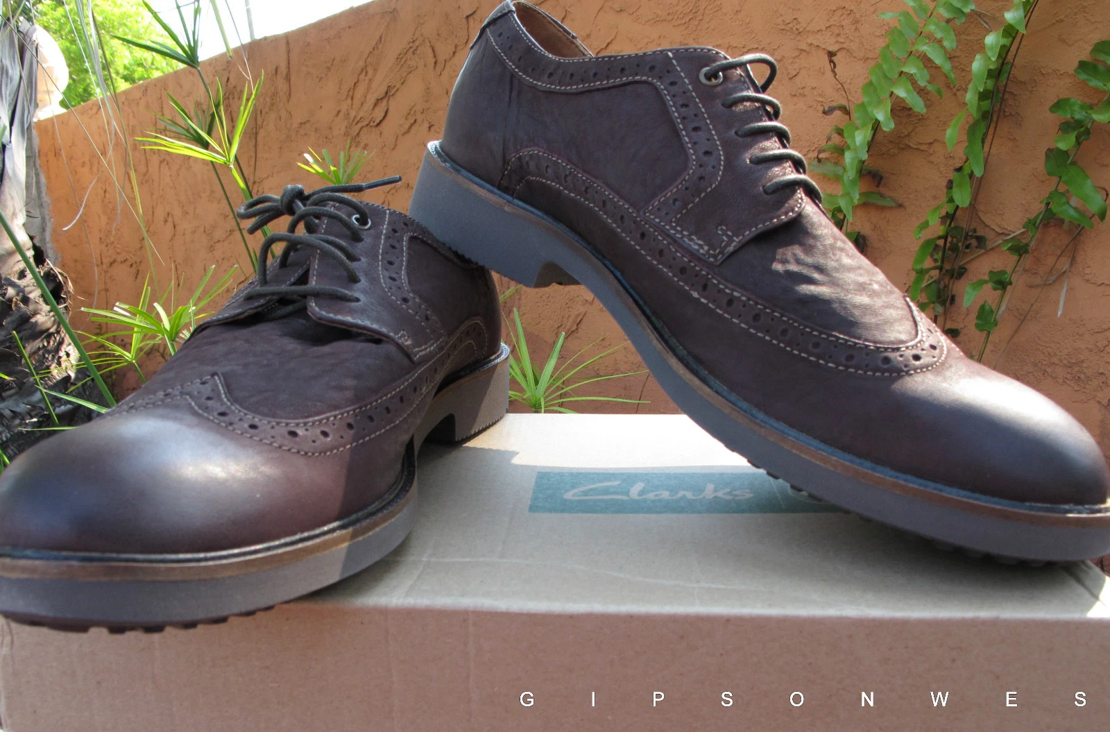 Clarks Wahlton Wing nuovo da uomo castagno taglia 11 5 prezzo al pubblico $100