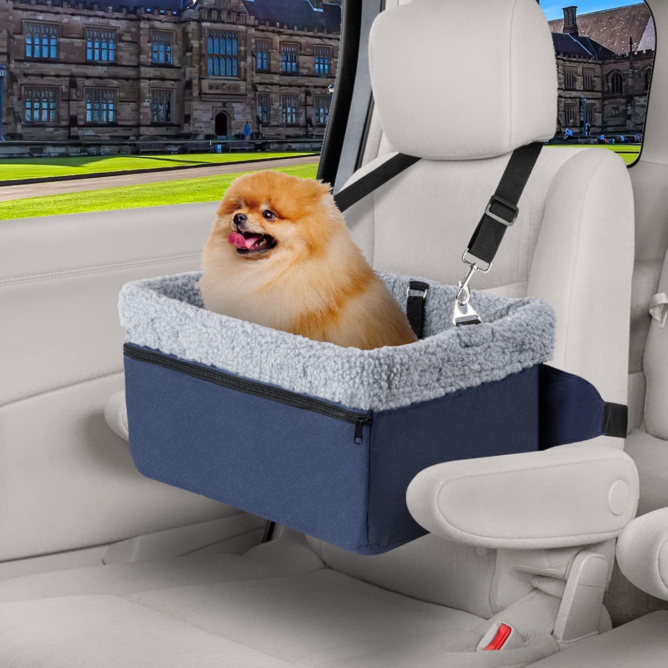 Dog Car Seats for Small DogsElevated Pet Dog Booster Seat for Dog up