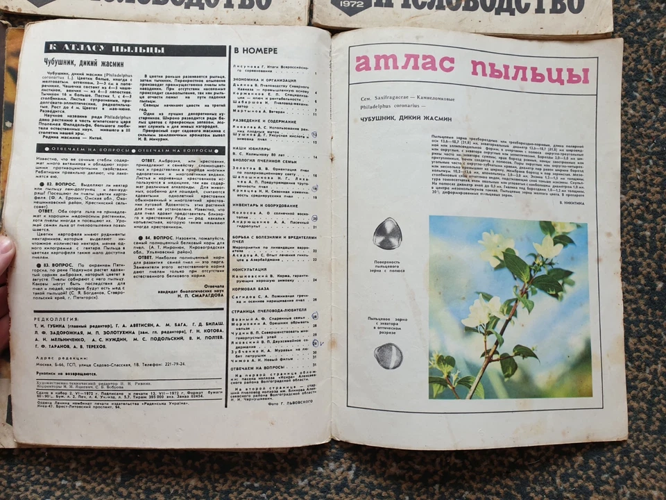 Beekeeping Set of 6x 1972 Soviet Vintage Magazines Russian USSR - Image 2 of 4