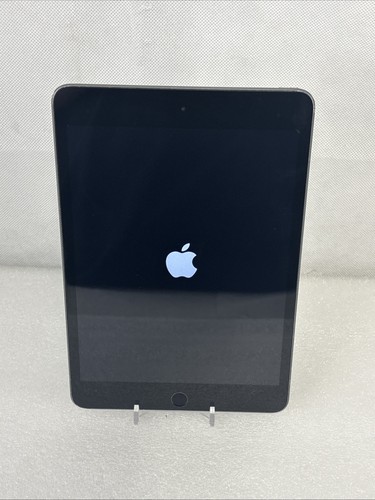 Apple iPad mini (5th Generation) A2133 64 GB, Wi-Fi, 7.9 in - Space Gray *Read*