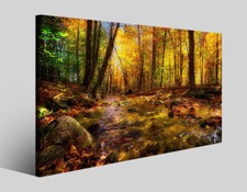 Quadri tramonti e paesaggi