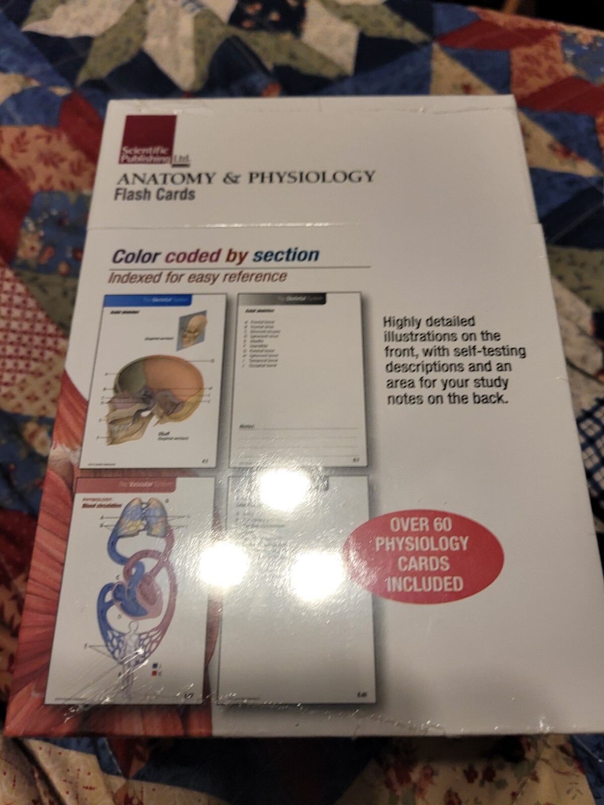 Anatomy and Physiology Flash Cards by Scientific Scientific Publishing (2011,... 9781932922974
