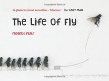 Life of Fly von Muhr, Magnus | Buch | Zustand sehr gut