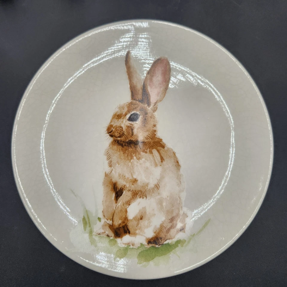 Juego de 4 platos de ensalada Pottery Barn Pasture Bunny esmalte craquelado retirado Foto 2 de 4