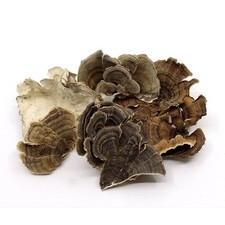 16 Ounces Whole Dried Turkey Tail Mushroom (T...