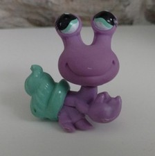 Petshop Bernard L'Hermite