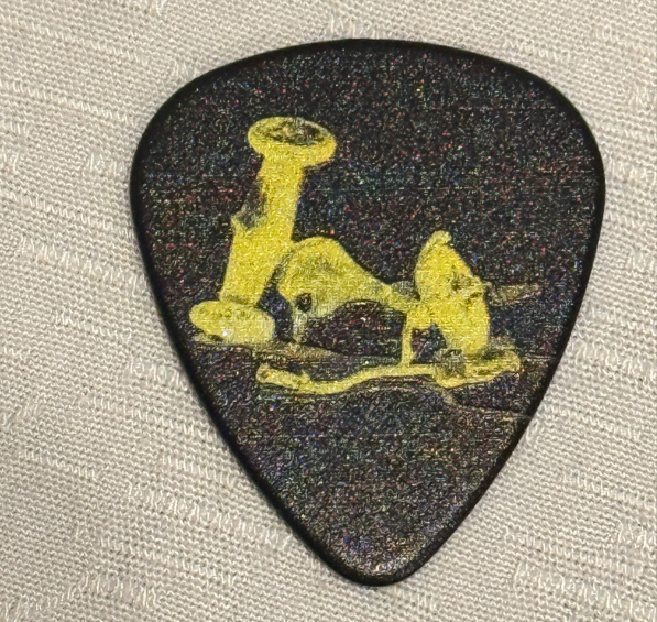 メタリカ　ギター　ピック　パリ　2023 James Hetfield | ESP GUITARS