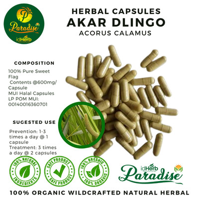 100-500 CAPSULES Acorus Calamus Root Dlingo WILDCRAFTED NATURAL ORGANIC