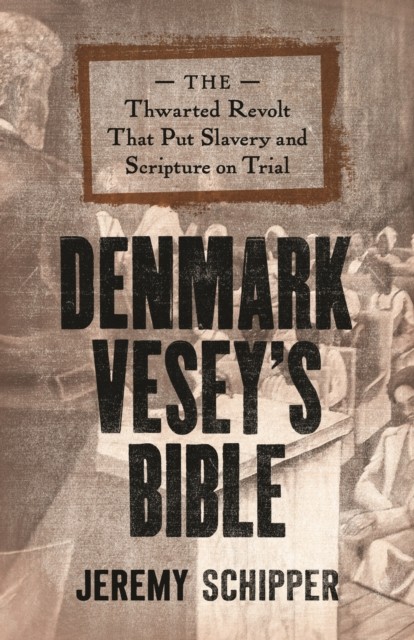Denmark Vesey's Bible by Jeremy  Schipper (Hardback Book)