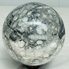 Natural Insectconch fossil crystal Ball Quartz Crystal Sphere Reiki Healing2960G — photo 4