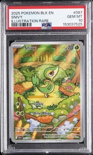 2025 POKEMON BLK EN-BLACK BOLT ILLUSTRATION RARE #087 SNIVY PSA 10
