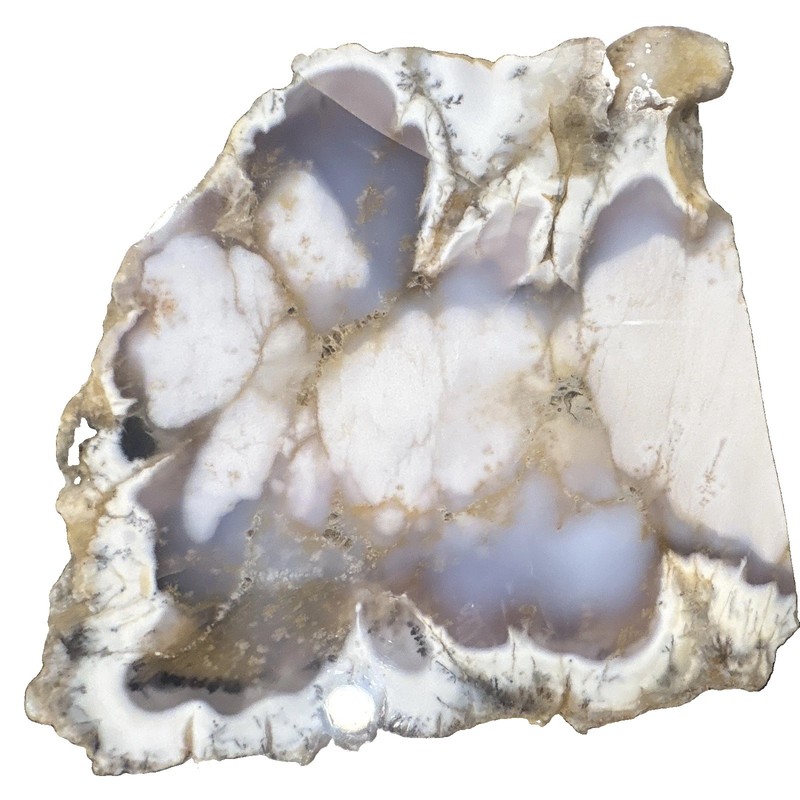 Polished Opal  Lapidary Slab Slice Gray White Dendrite Opal Stone Specimen