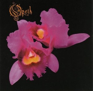 Orchid CD | eBay