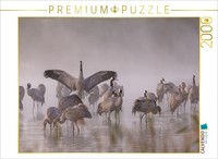 Calvendo Puzzle Cranes In The Morning Mist | 2000 Pieces, Finished Size 35.4 × 2
