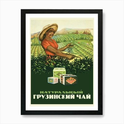 Sowjetisch Georgischer Tee, UdSSR, 1956 / N Gerahmtes Wandbild Poster Leinwanddruck Bild
