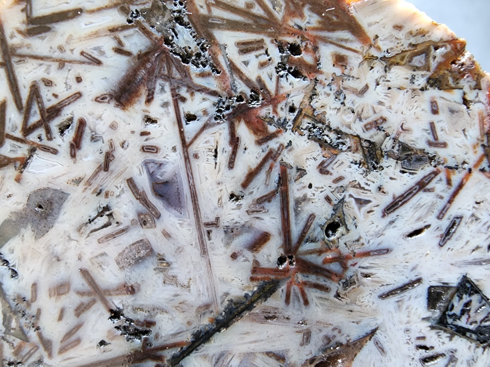 Picture 6 of 15