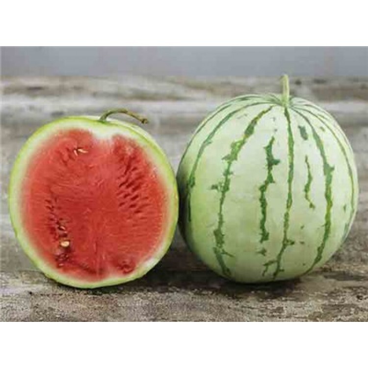 Watermelon Seeds Collection, NON-GMO, 9 Varieties, Heirloom