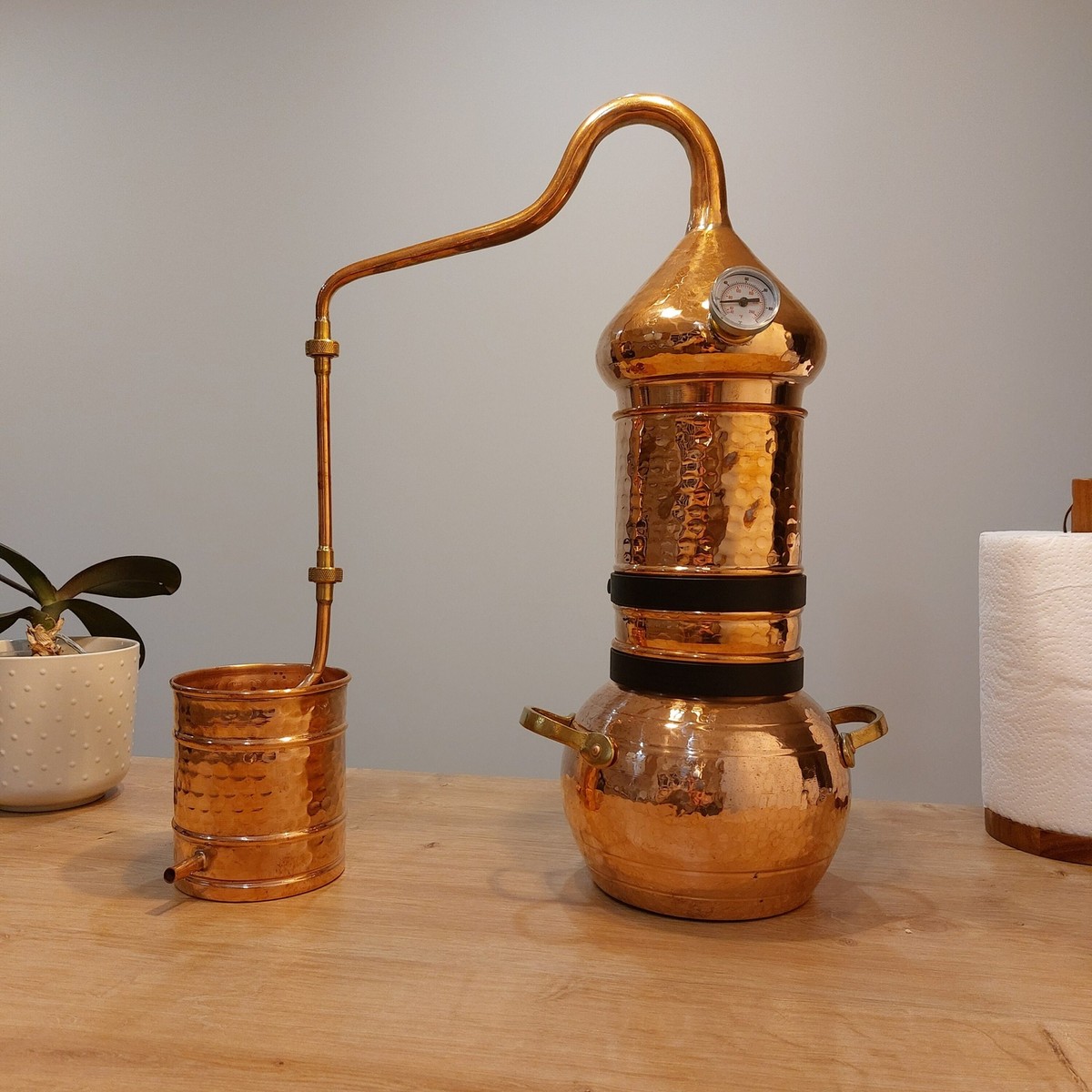 t*n様 【超希少！】ALEMBIC Custom CMSB 4st s-l1200.jpg