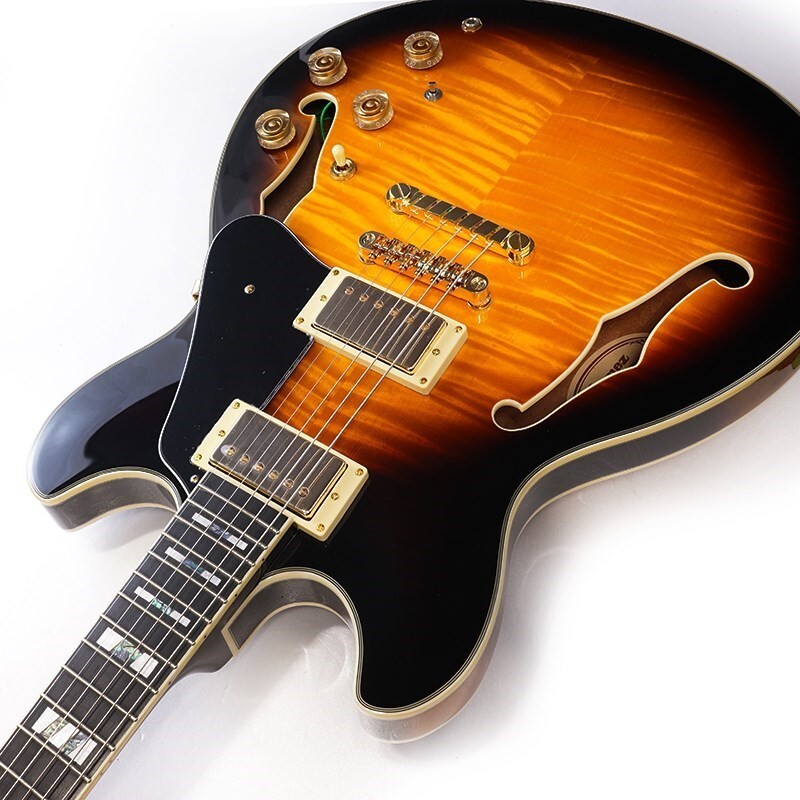 Ibanez JSM10-VYS John Scofield SIGNATURE MODEL semi-acoustic