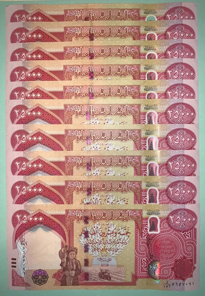 300,000 New Iraq Dinar - 12 UNCirculated 25K Banknotes in Iraqi Currency NEW IQD - Image 2 of 4