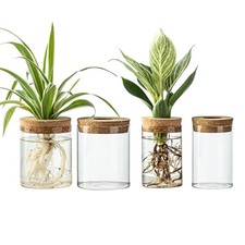 Glass Propagation Stations for Plants -Desktop Flower Vases,Propagation 4