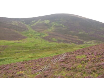 Photo 6x4 Crookston Burn and Preston Law Bonnington/NT2538 Looking acros c2010