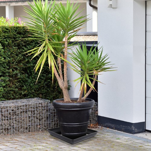 2 Pcs Plant Tray Plastic Trays Flower Pot Planter Rectangle Drip - Picture 6 of 12