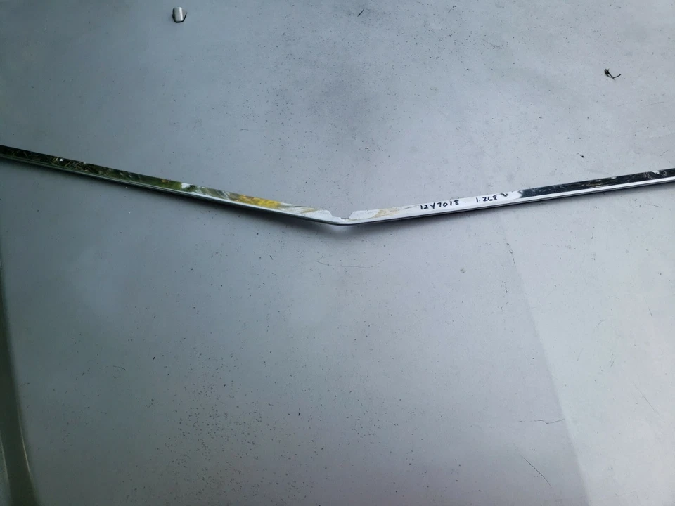 NOS GM 1975-1976 BUICK SKYLARK PARRILLA INFERIOR ACERO INOXIDABLE MOLDURA-PARTE 1247018 Foto 3 de 4