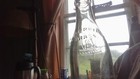 VINTAGE "FIRST NATIONAL ( SOMERVILLE MASS) 7 0z" BOTTLE~CLEAR~CROWN TOP~8 1/4" — photo 6