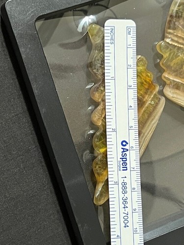 SPECTACULAR 3 1/2" GOLDEN FLUORITE BUTTERFLY WINGS. AWESOME TRANS-ILLUMINATION - Picture 20 of 24