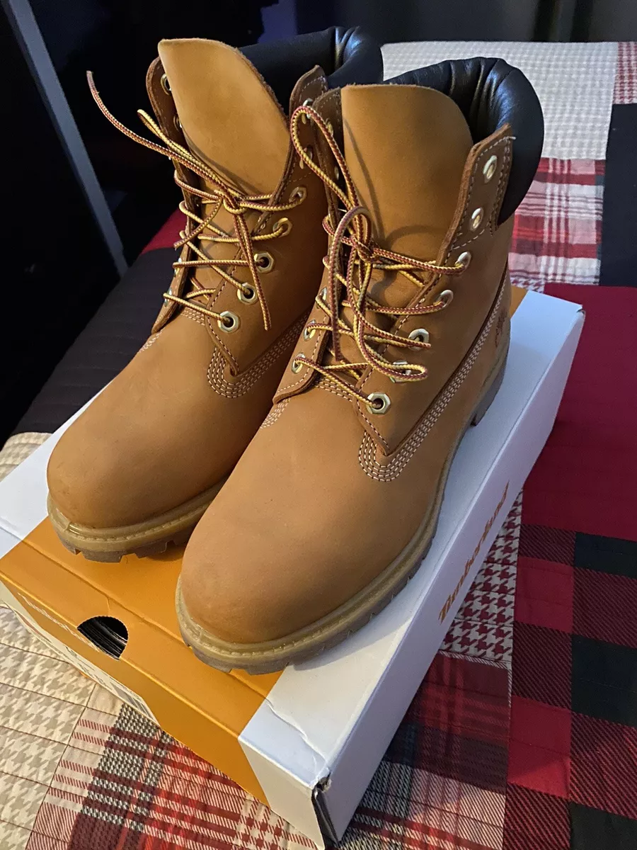 Timberland 7.5 2025 m