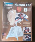 Lindberg Human Ear Anatomically Accurate Correct Plastic Science Model Kit NOS — photo 1