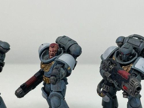 Hellblasters Fully Painted Space Wolves Space Marines Warhammer 40k 1590 - Picture 4 of 13