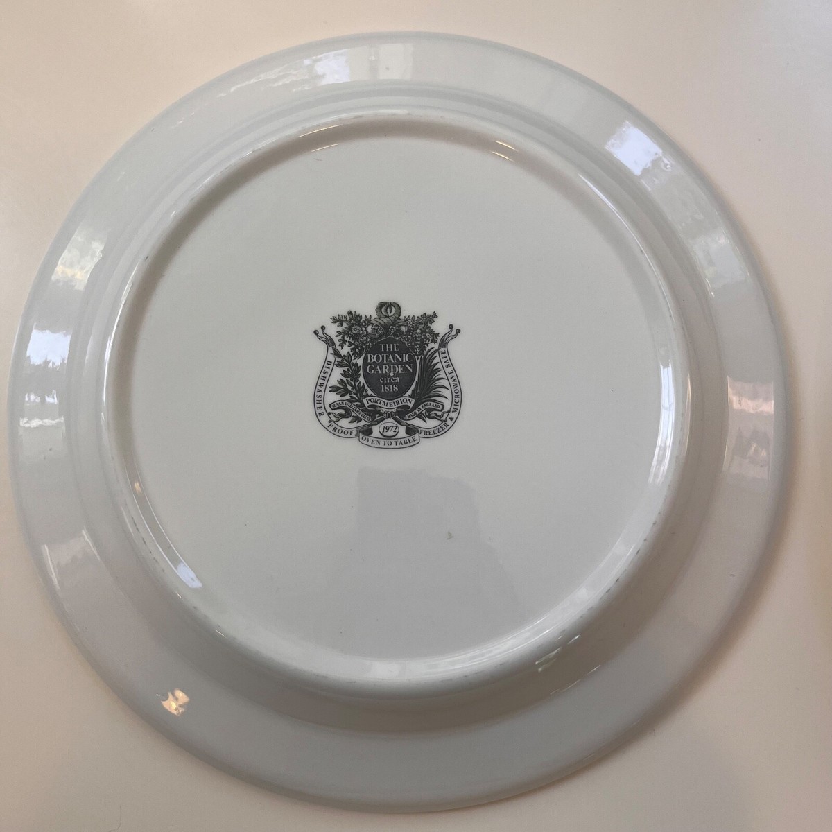 NEW Vintage 80s-90s Portmeirion Botanic Garden Dinner Salad