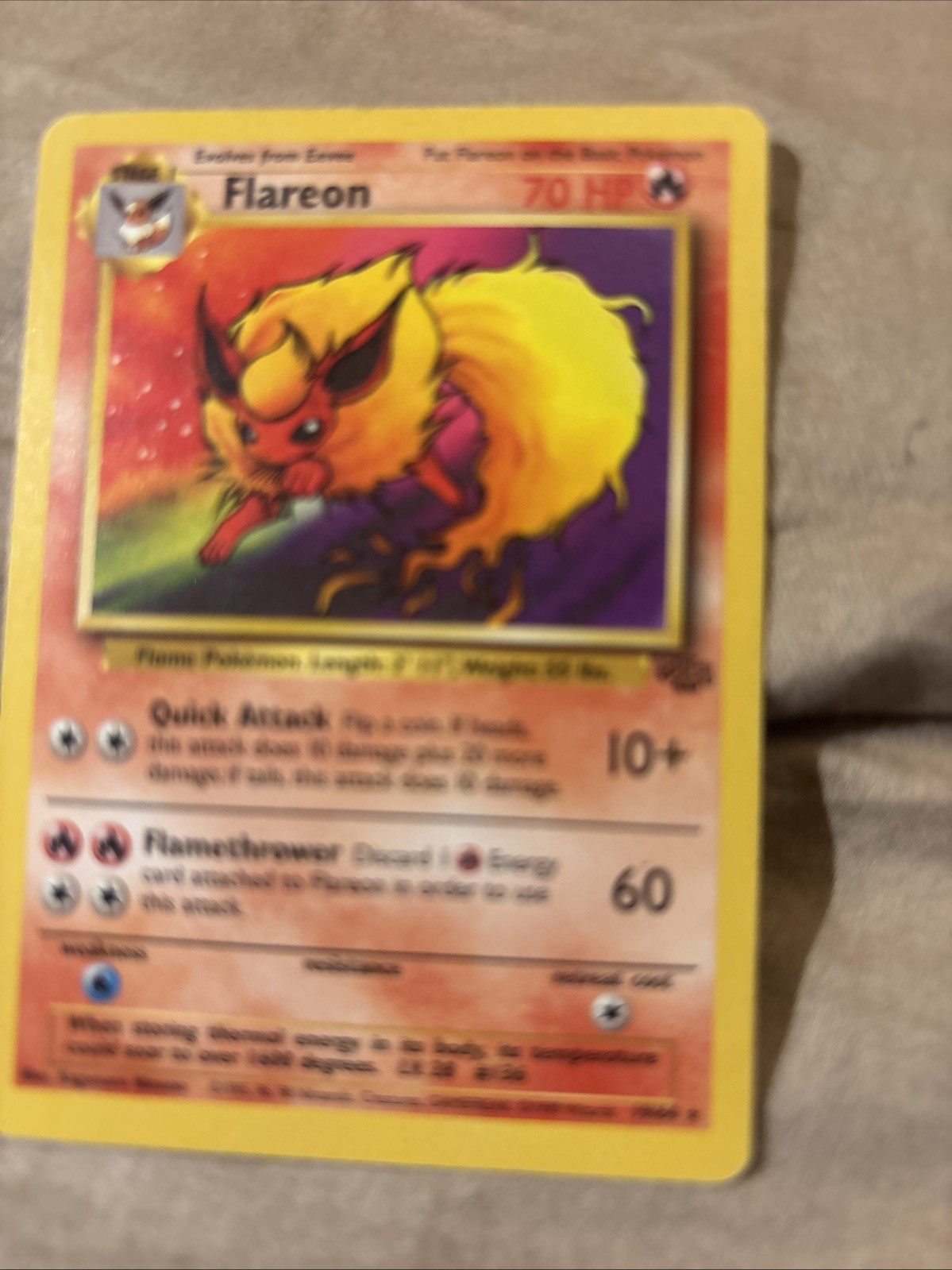 Flareon 19/64 Jungle Regular